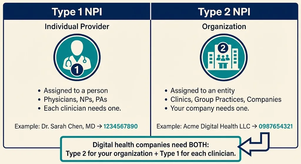 The NPI Twins - Type 1 NPI for individual providers vs Type 2 NPI for organizations